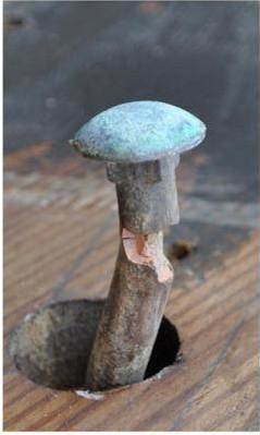 Corroded Carriage Bolt