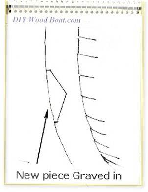 Stem Repair Dutchman