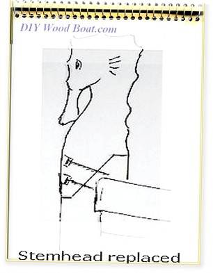 Stem Head Replacement