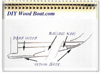 Worm Shoe Positions and Installation Worm Shoe