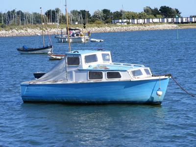 This is Blue Star before we brought her home.