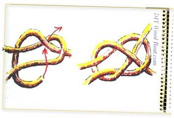 Sheet Bend Boating Knot Sheet Bend