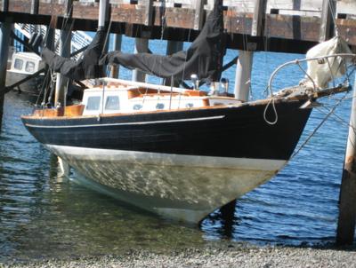 At low tide to inspect Hull