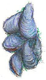 Mussel Shellfish
