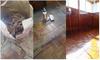 Repairing and REfinishing Parquet Floors