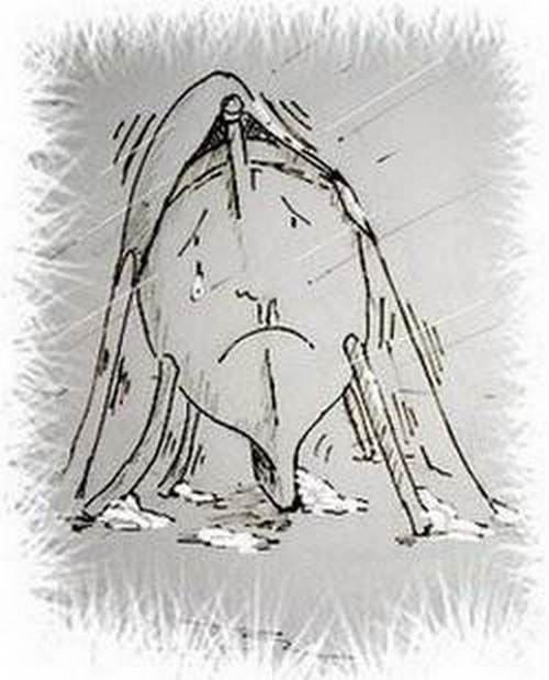 Don't allow Winterizing Your Wooden Boat to become a chore, make a list, spread the jobs and visit her regularly, a wooden boat is not just for summer.